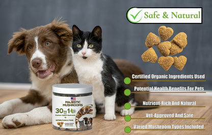 Majestic Mushrooms™ - 7 Organic Super Mushrooms with Natural Flea & Tick Defense + Human-Grade (30-in-1 Calming Chew)