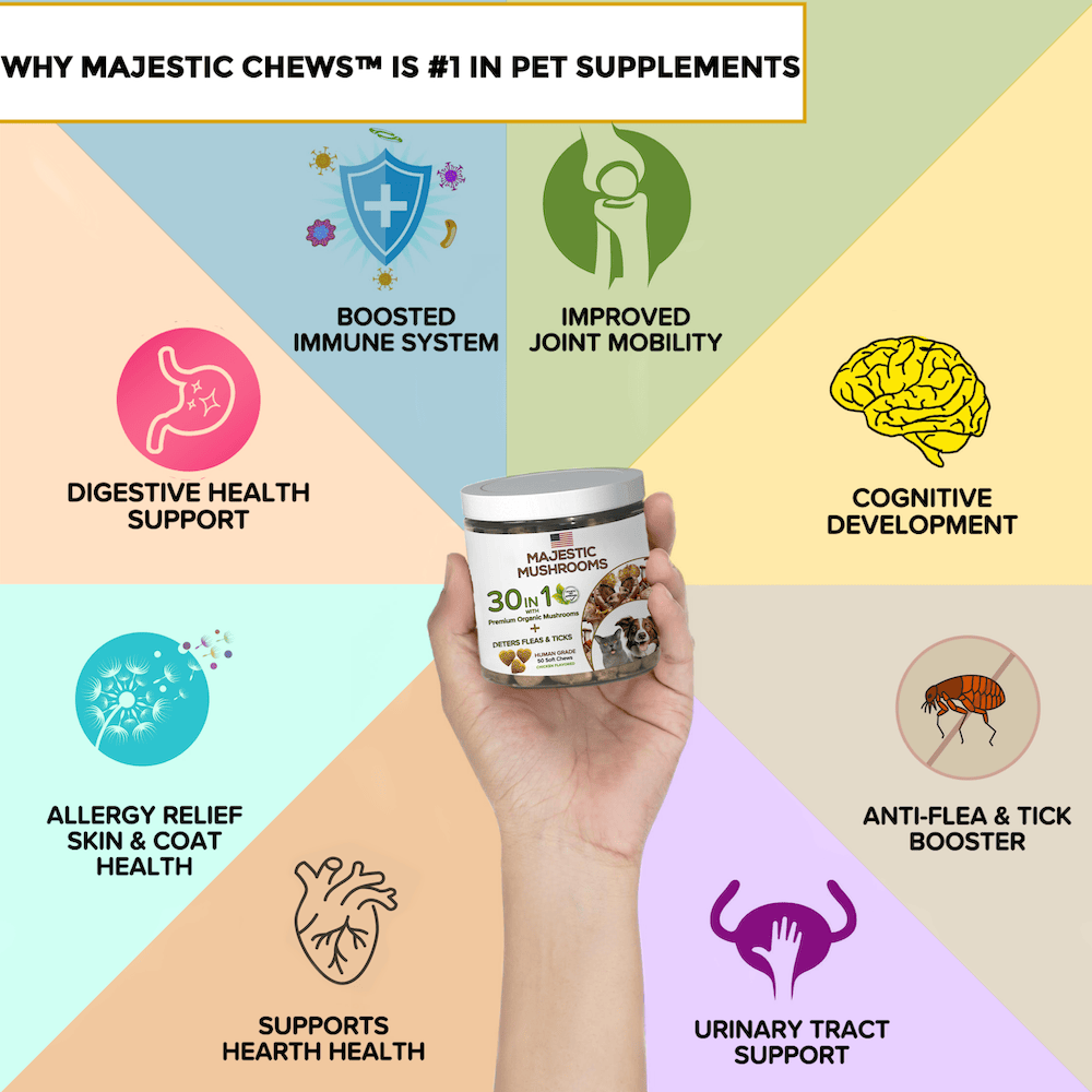 Majestic Mushrooms™ - 7 Organic Super Mushrooms with Natural Flea & Tick Defense + Human-Grade (30-in-1 Calming Chew)