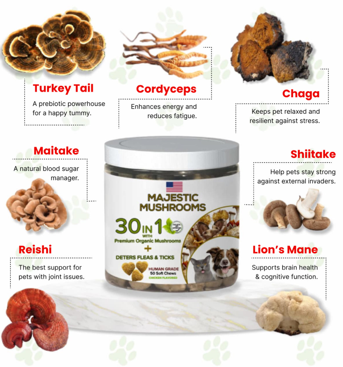 Majestic Mushrooms™ - 7 Organic Super Mushrooms with Natural Flea & Tick Defense + Human-Grade (30-in-1 Calming Chew)