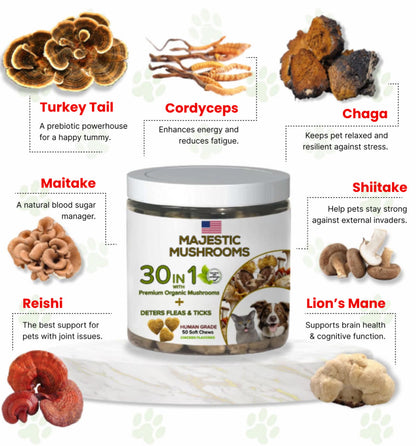 Majestic Mushrooms™ - 7 Organic Super Mushrooms with Natural Flea & Tick Defense + Human-Grade (30-in-1 Calming Chew)